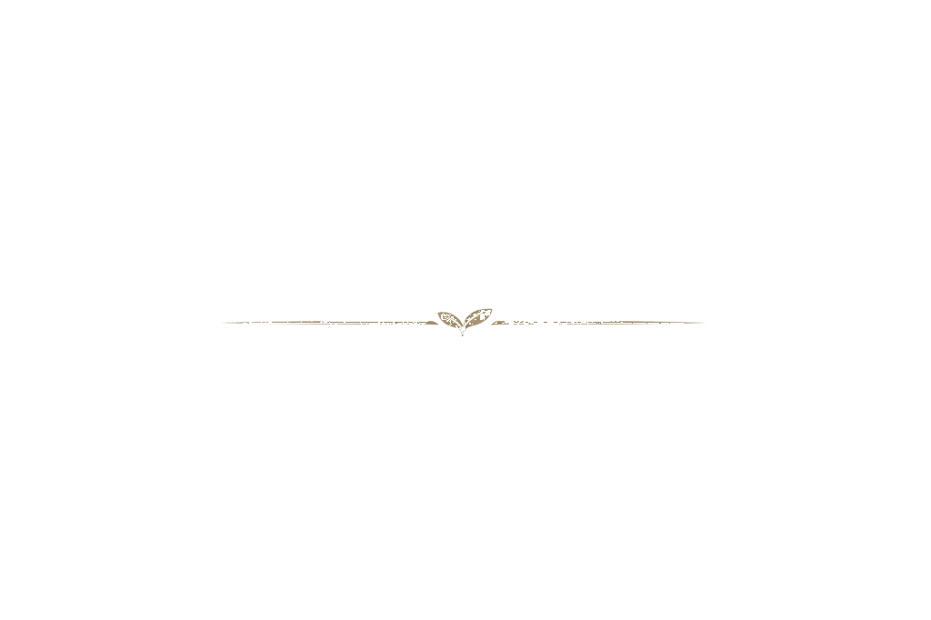 Tamayo & Co. Lawn Care